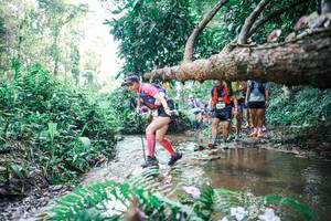 BIB: 
                            <button type="button" onclick="openModal(25454080)" class="btn btn-primary btn-sm float-right btn-popup" data-toggle="modal" data-target=".modal-high-quality">
                        <i class="fas fa-shopping-cart"></i> Add to Cart
                    </button>
                                            <button type="button" onclick="isThisMe(25454080, true)" class="btn btn-success btn-sm float-right btn-popup btn-isme hidden" data-toggle="tooltip" data-placement="bottom" title="นี่คือรูปของคุณใช่ไหม คลิกที่นี่เพื่อเอาเข้าอัลบั้ม">
                        <i class="fas fa-plus"></i> Add to album
                    </button>
                    <button type="button" onclick="isThisMe(25454080, false)" class="btn btn-warning btn-sm float-right btn-popup btn-isnotme hidden">
                        <i class="fas fa-ban"></i> Remove from album
                    </button>